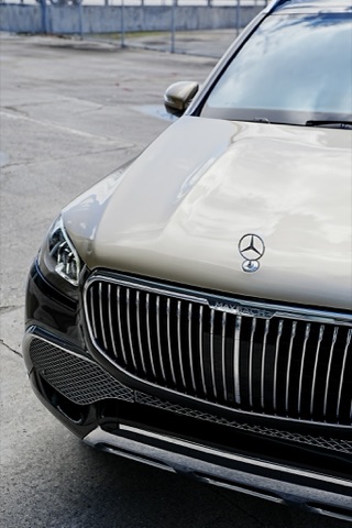 Mercedes-Maybach GLS 600 photo 4