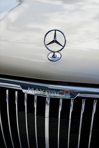 Mercedes-Maybach GLS 600 photo 5