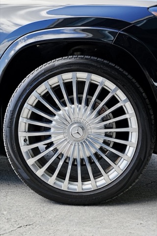 Mercedes-Maybach GLS 600 photo 6